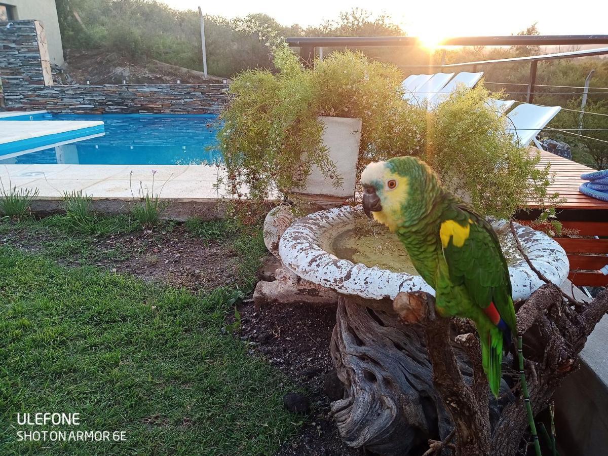 Miracampo Apartman San Antonio de Arredondo Kültér fotó